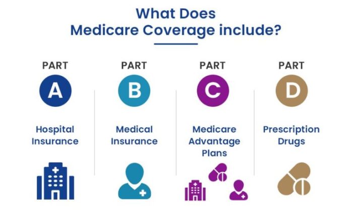 Understanding Your Medicare Plan: Keys to Managing Health and Wellness ...