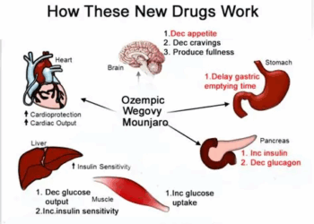 How Mounjaro Works for Type 2 Diabetes and Obesity