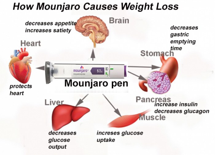 Mounjaro:(Tirzepatide):Potent Once a Week Obesity Injection - Dr ... Mounjaro:(Tirzepatide):Potent Once a Week Obesity Injection - Dr ...